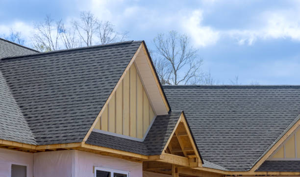 Best Roof Ventilation Installation  in Lexington, MN