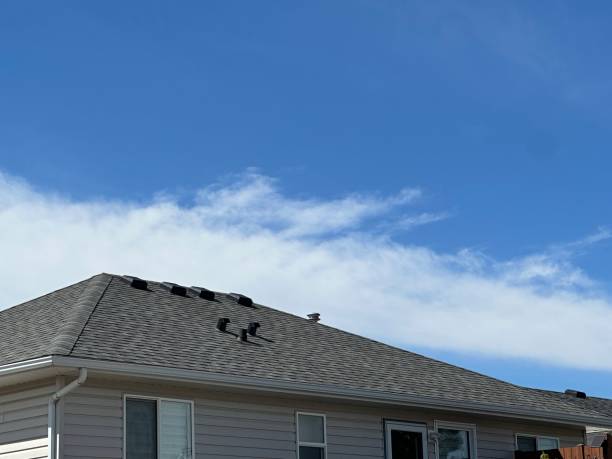 Best Commercial Roofing Services  in Lexington, MN